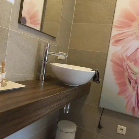 Holiday home De Goudvink 7-persoons, Overdekte Hottub En Loungebank, Finse Sauna, Wifi, Sunshower *