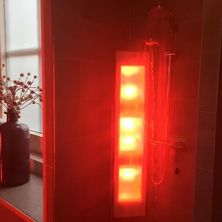 Holiday home De Goudvink 7-persoons, Overdekte Hottub En Loungebank, Finse Sauna, Wifi, Sunshower Lievelde