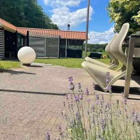 Ferienhaus De Goudvink 7-persoons, Overdekte Hottub En Loungebank, Finse Sauna, Wifi, Sunshower