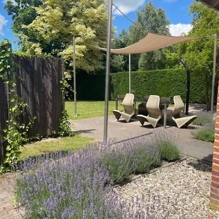Ferienhaus De Goudvink 7-persoons, Overdekte Hottub En Loungebank, Finse Sauna, Wifi, Sunshower