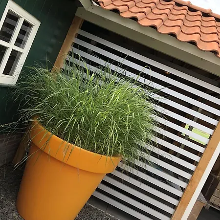 De Goudvink 7-persoons, Overdekte Hottub En Loungebank, Finse Sauna, Wifi, Sunshower Ferienhaus Lievelde