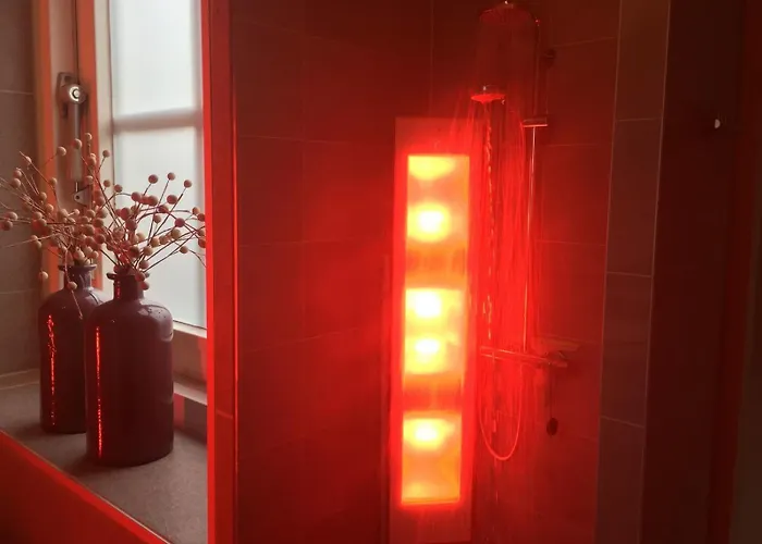 Сasa de vacaciones De Goudvink 7-persoons, Overdekte Hottub En Loungebank, Finse Sauna, Wifi, Sunshower Lievelde