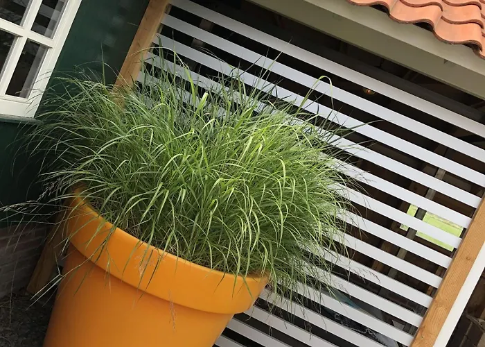 De Goudvink 7-persoons, Overdekte Hottub En Loungebank, Finse Sauna, Wifi, Sunshower Сasa de vacaciones Lievelde